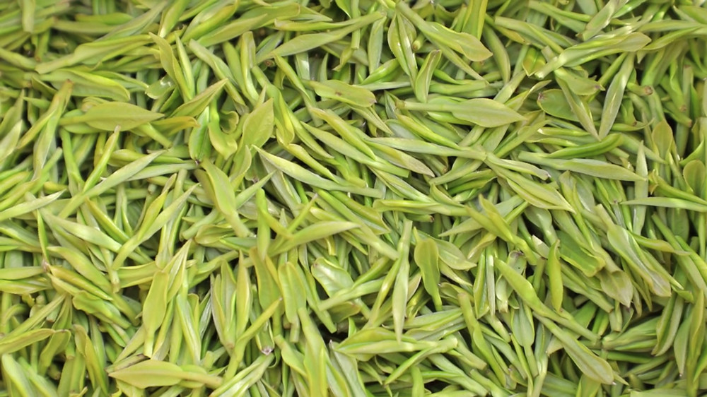 安徽桐城：春暖茶飄香 茶農(nóng)采茶忙（桐城臺(tái)[00_06_22][20240326-152447].jpg