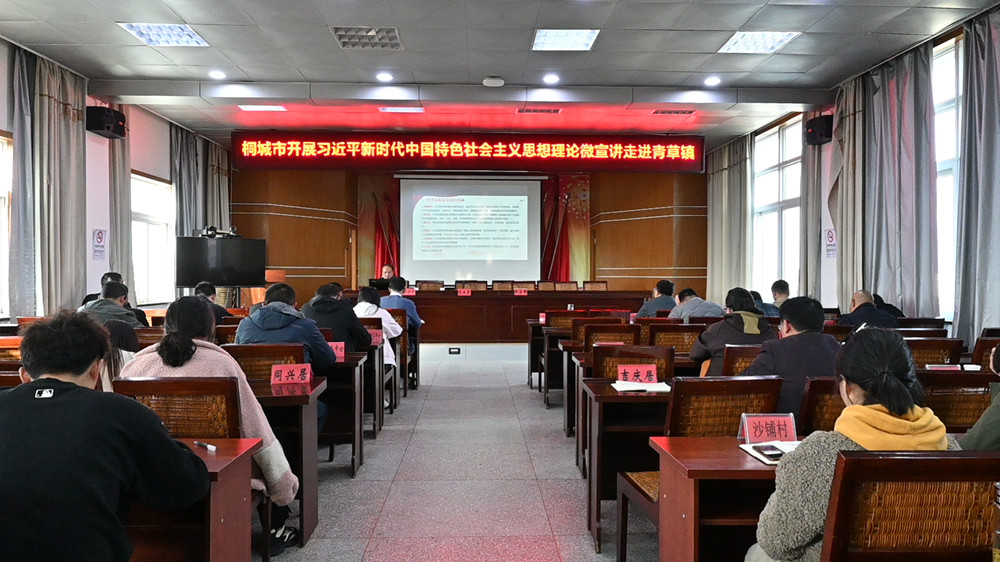圖為青草鎮(zhèn)宣講現(xiàn)場(chǎng).jpg