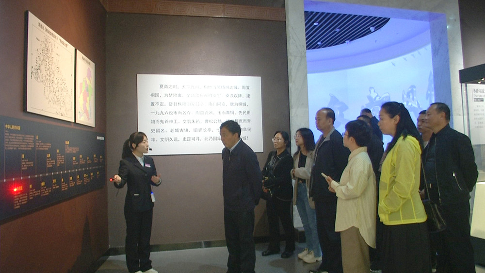 云南德宏政協(xié)來桐在桐城文化博物館考察2.jpg