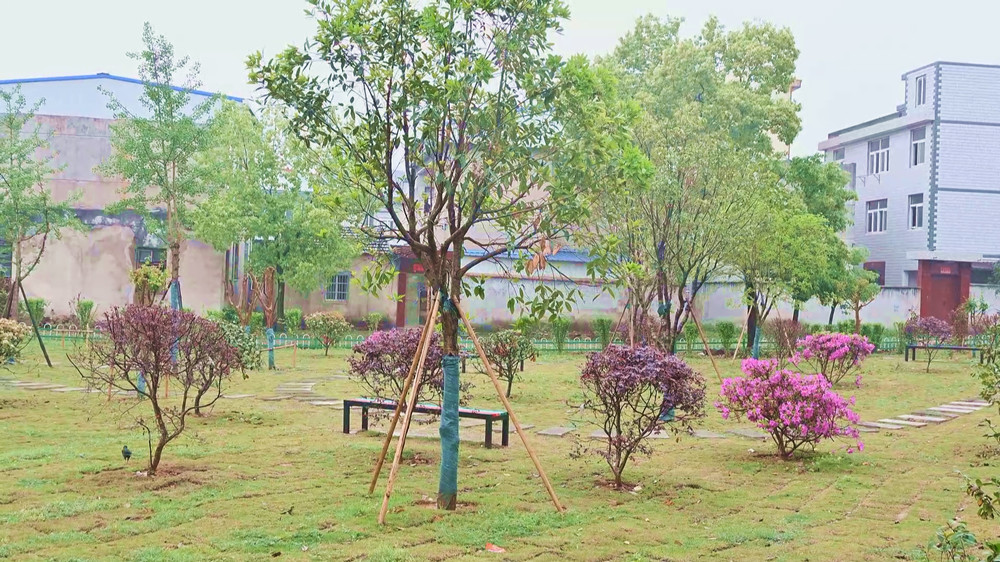 口袋公園.jpg