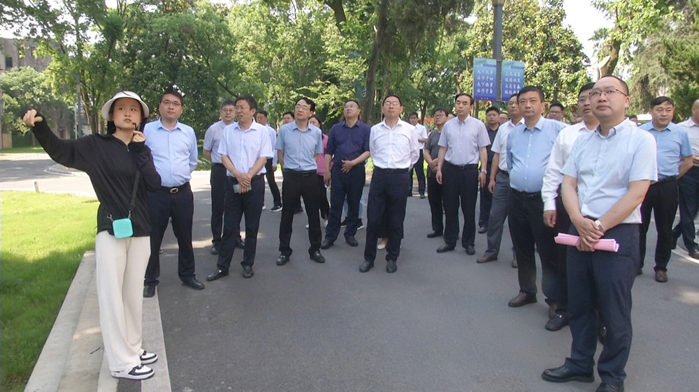 全市推進(jìn)縣城規(guī)劃建設(shè)治理交流現(xiàn)場(chǎng)會(huì)在桐召開(kāi)4.jpg