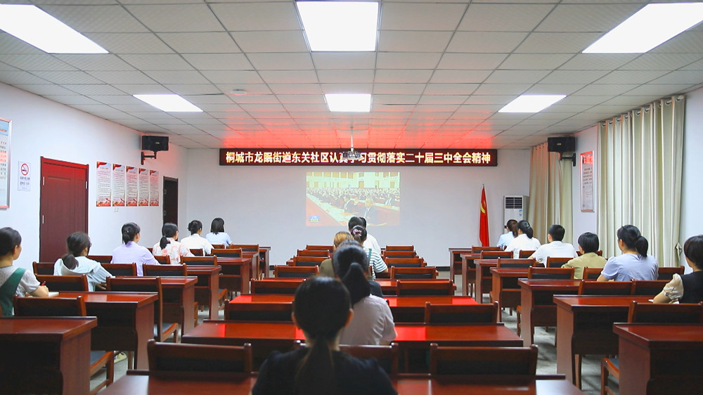 圖為龍眠街道東關社區(qū)干群在集中收聽收看央視受權發(fā)布二十屆三中全會公告1.jpg