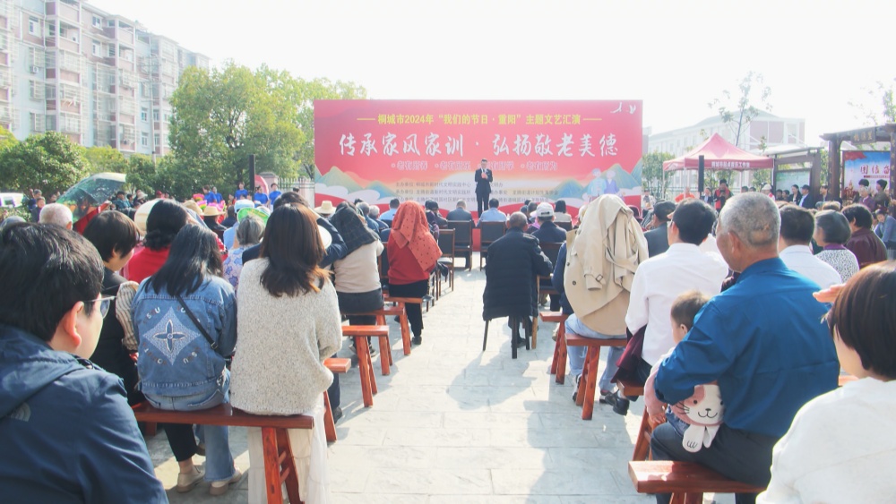 龍騰街道桃園社區(qū)重陽文藝匯演.jpg