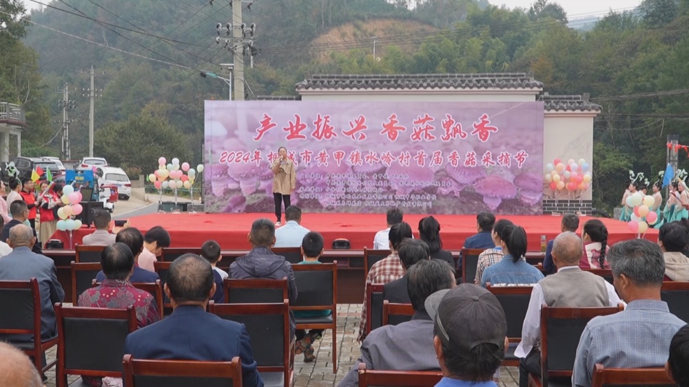 香菇采摘.jpg
