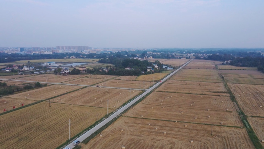 國秸稈.jpg