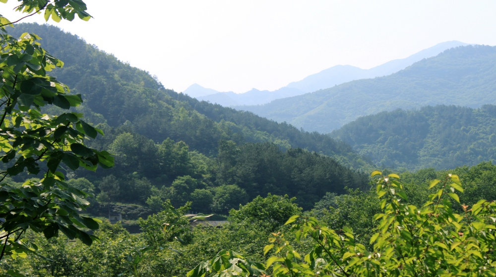 桐城市龍眠山森林公園.JPG