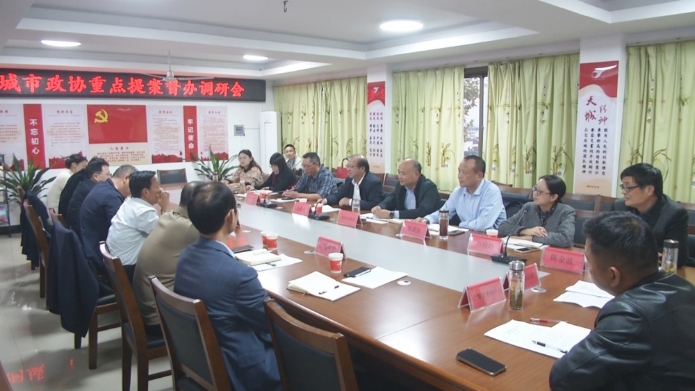 政協(xié)調(diào)研提案座談會.jpg