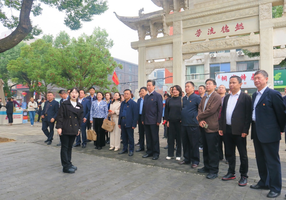 安徽省社會(huì)組織總會(huì)赴桐城開展“傳承與創(chuàng)新——社會(huì)組織桐城行” 主題黨日活動(dòng)3.jpg
