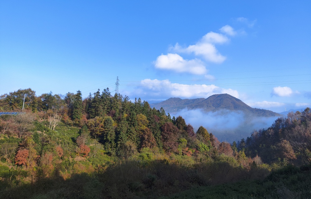 桐城市黃甲鎮(zhèn)秋景.jpg