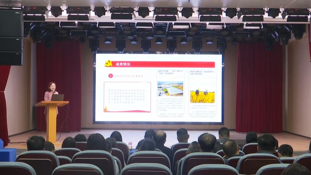 桐城市舉辦2024 年度市直機(jī)關(guān)黨建“書記項(xiàng)目” 路演評審會(huì)2.jpg