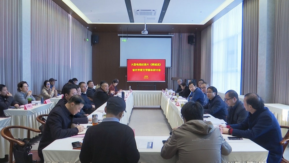 大型電視紀(jì)錄片《桐城派》省內(nèi)專家文學(xué)腳本研討會召開.jpg