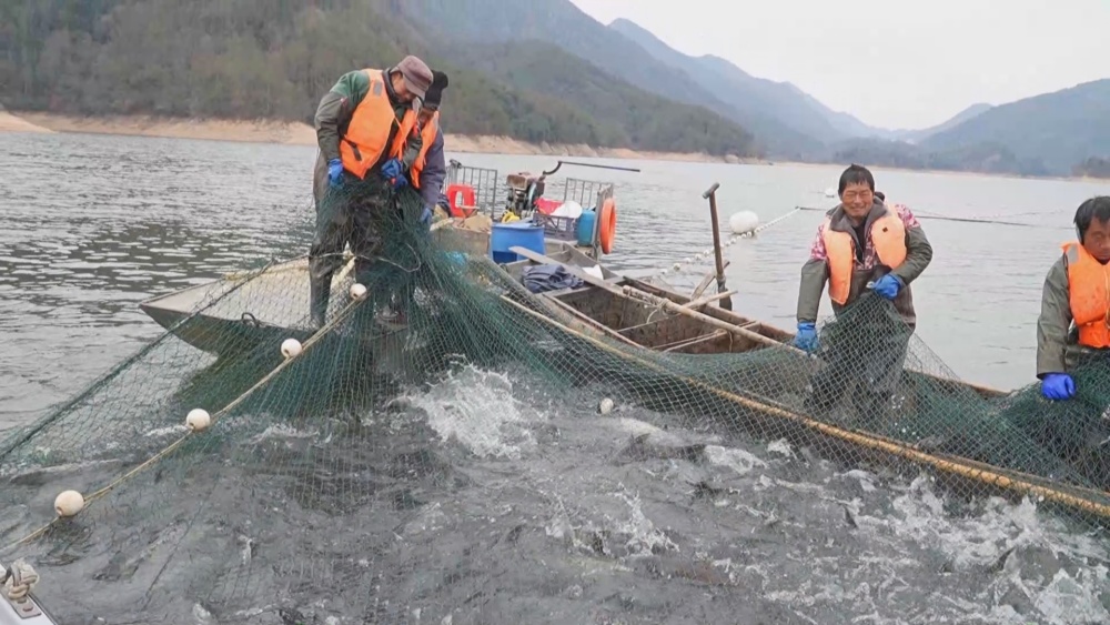 生態(tài)魚.jpg