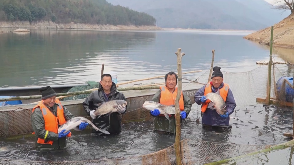 生態(tài)魚(1).jpg