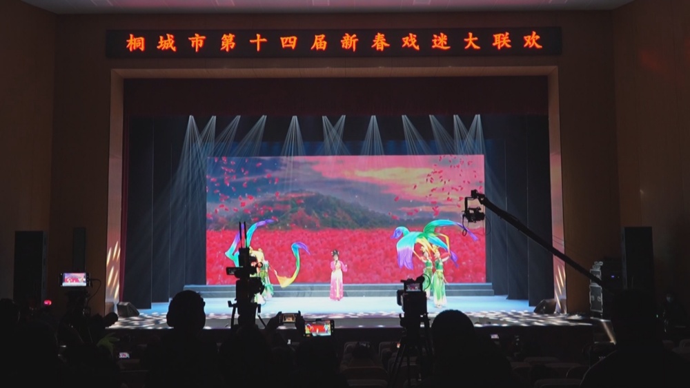 系咪(1).jpg