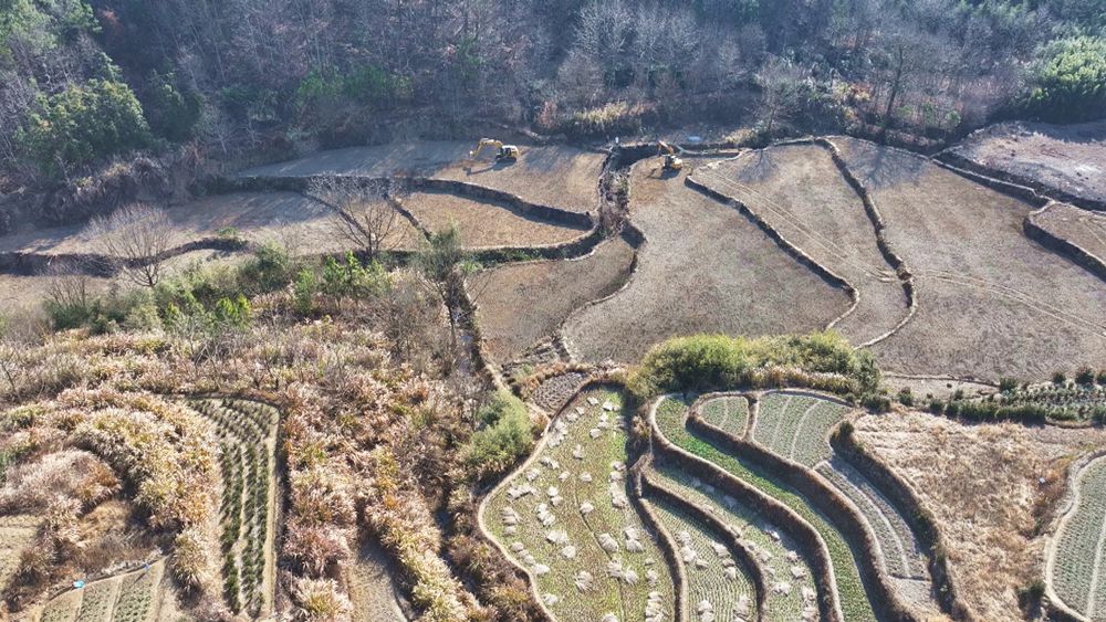 圖為青草鎮(zhèn)銅鑼村圖斑整改現(xiàn)場1.jpg