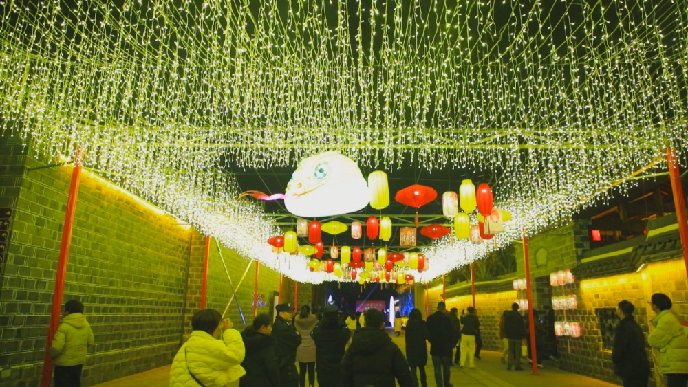 圖為六尺巷新春燈會(huì)現(xiàn)場25.jpg