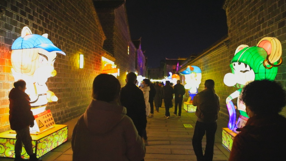 圖為六尺巷新春燈會(huì)現(xiàn)場23.jpg