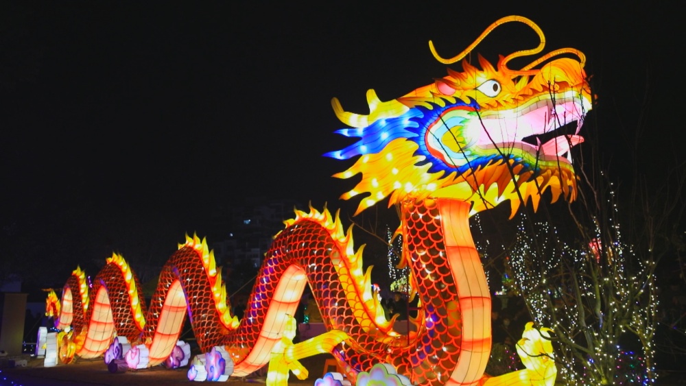 圖為六尺巷新春燈會(huì)現(xiàn)場20.jpg