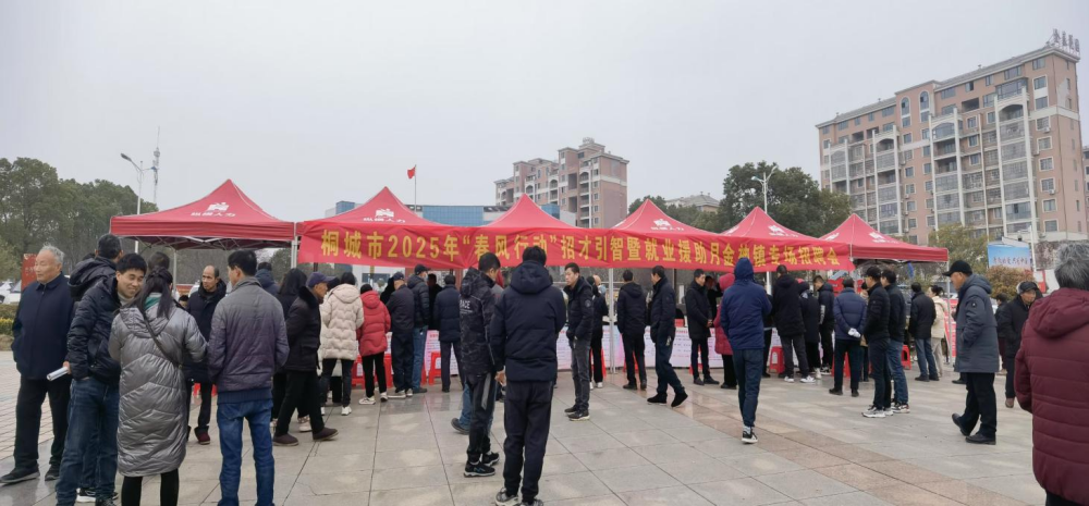 圖為金神鎮(zhèn)“春風行動”招才引智專場招聘會現(xiàn)場(1).png