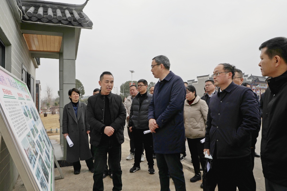 圖為在望江縣考察4.jpg