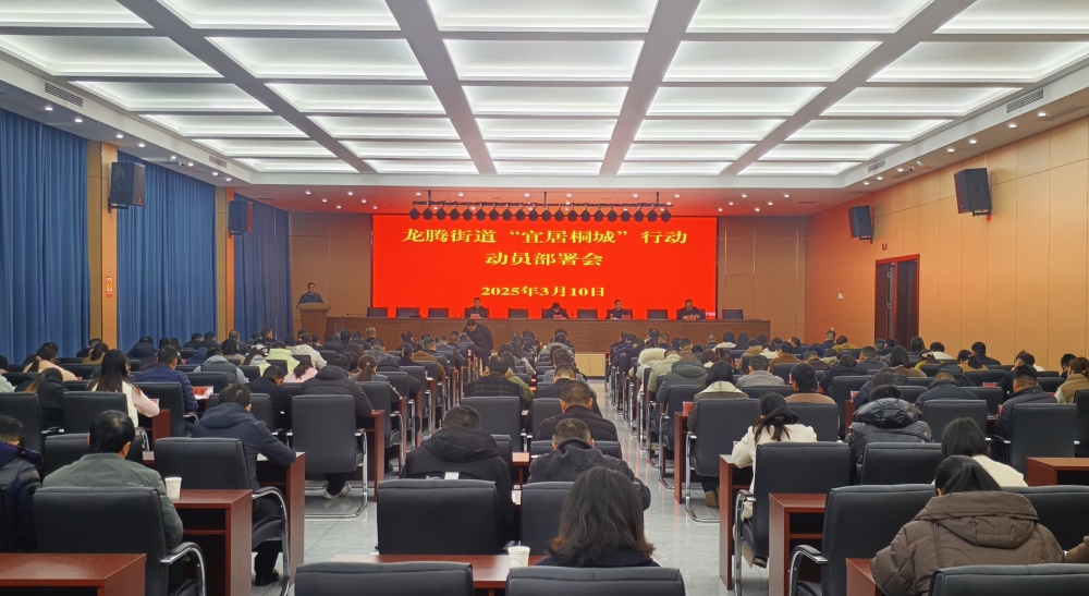 0310圖為會(huì)議現(xiàn)場.jpg