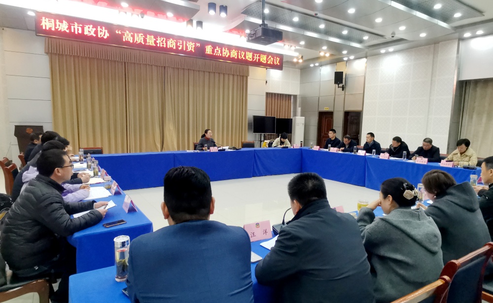 政協(xié)議題會(huì)4.jpg