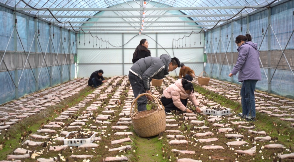 微信圖片_20250312090242.jpg