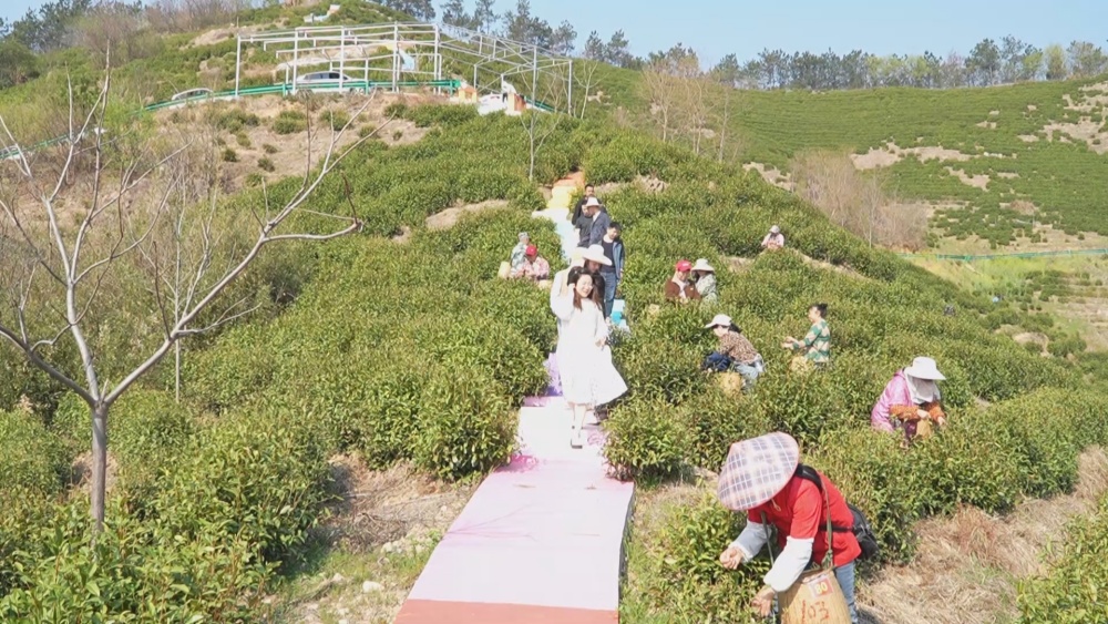 步道(1).jpg