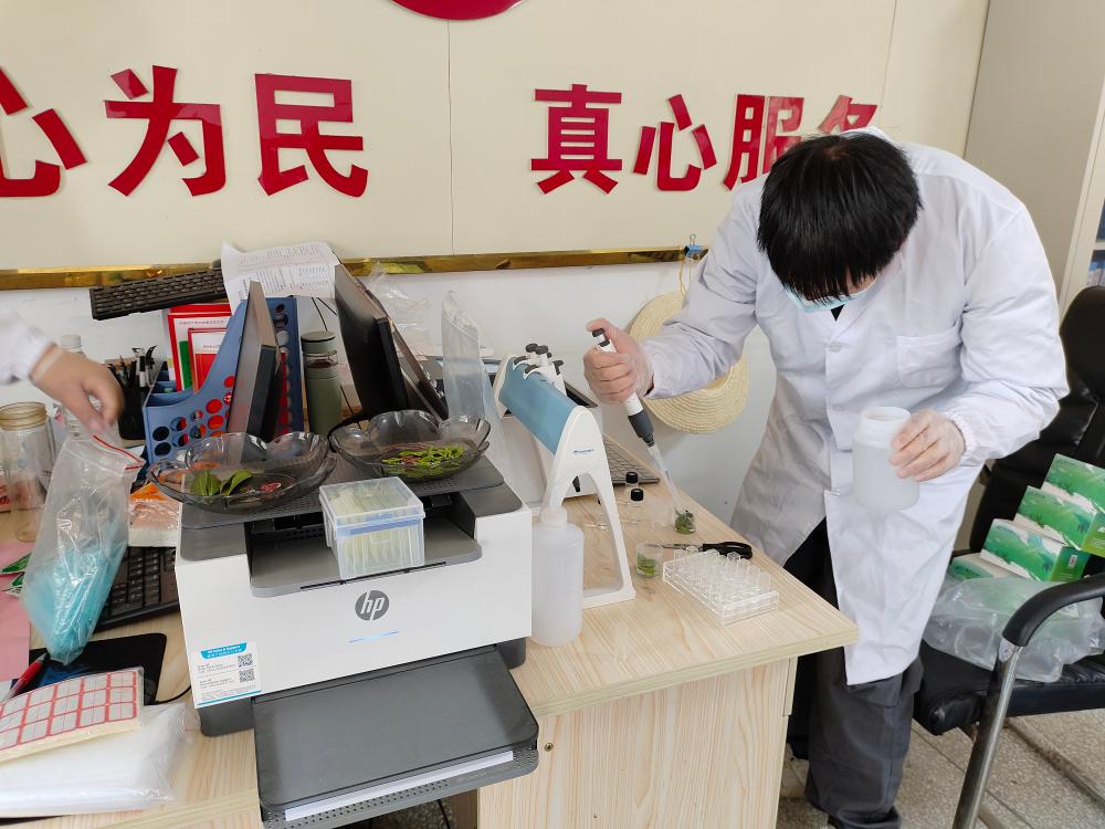 桐城市市場監(jiān)管局開展新茶農(nóng)殘快檢 守護(hù)春茶品質(zhì)與安全配圖2(1).jpg