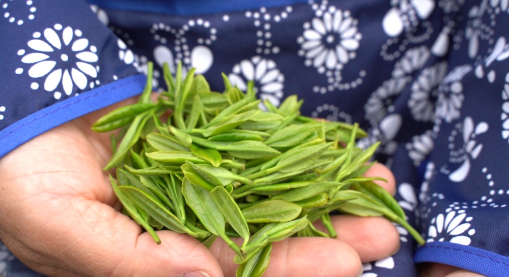 向陽(yáng)村 (5).jpg
