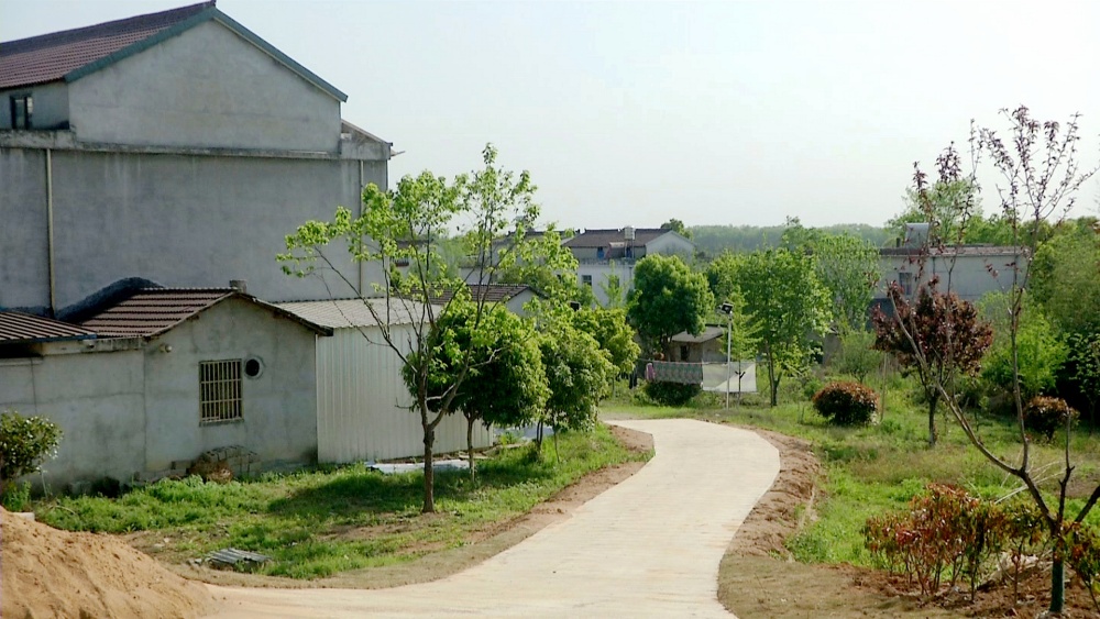 姚坂村一角2.jpg