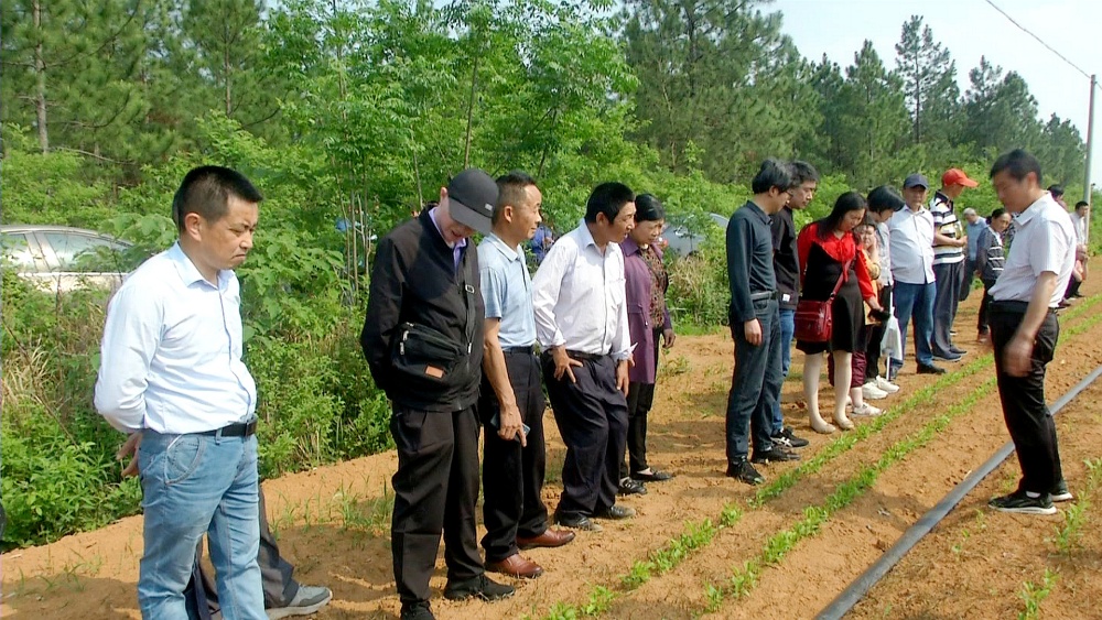 在中藥材基地參觀(1).jpg