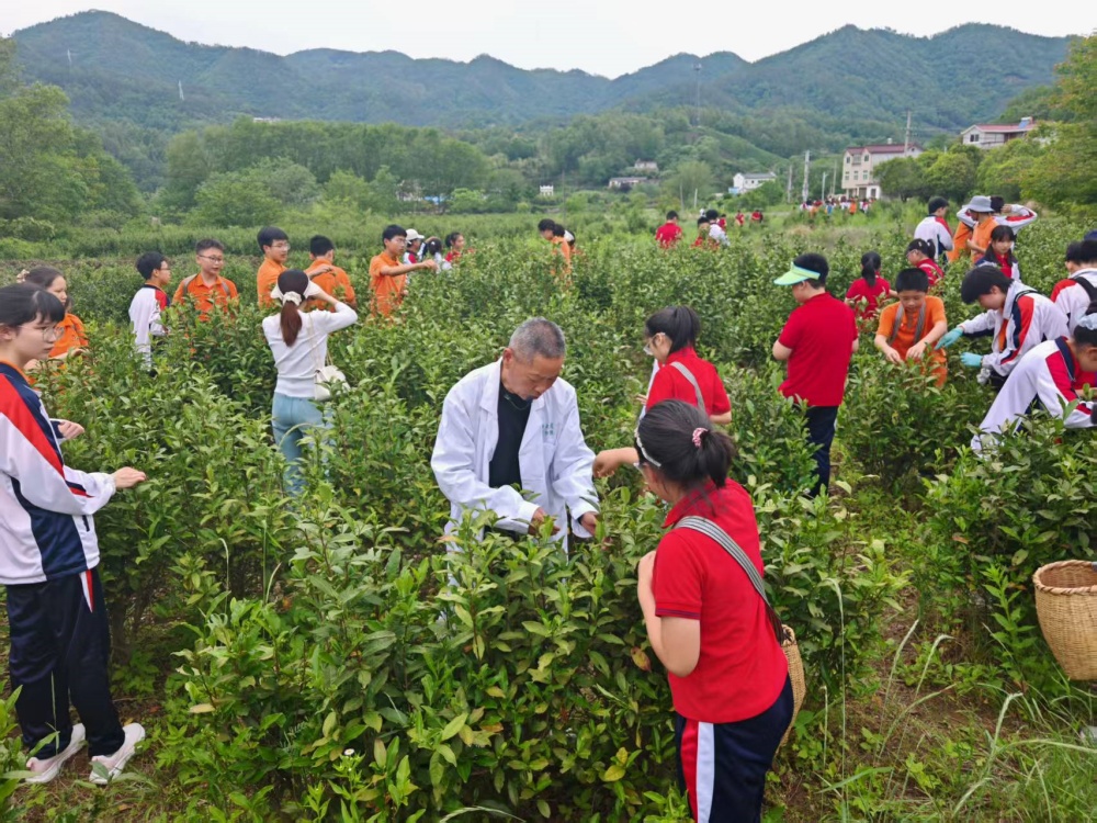 龍眠街道雙溪村：尋訪文脈茶香 體驗(yàn)非遺傳承1_副本.jpg