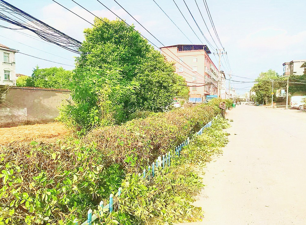 新楊路_副本.jpg