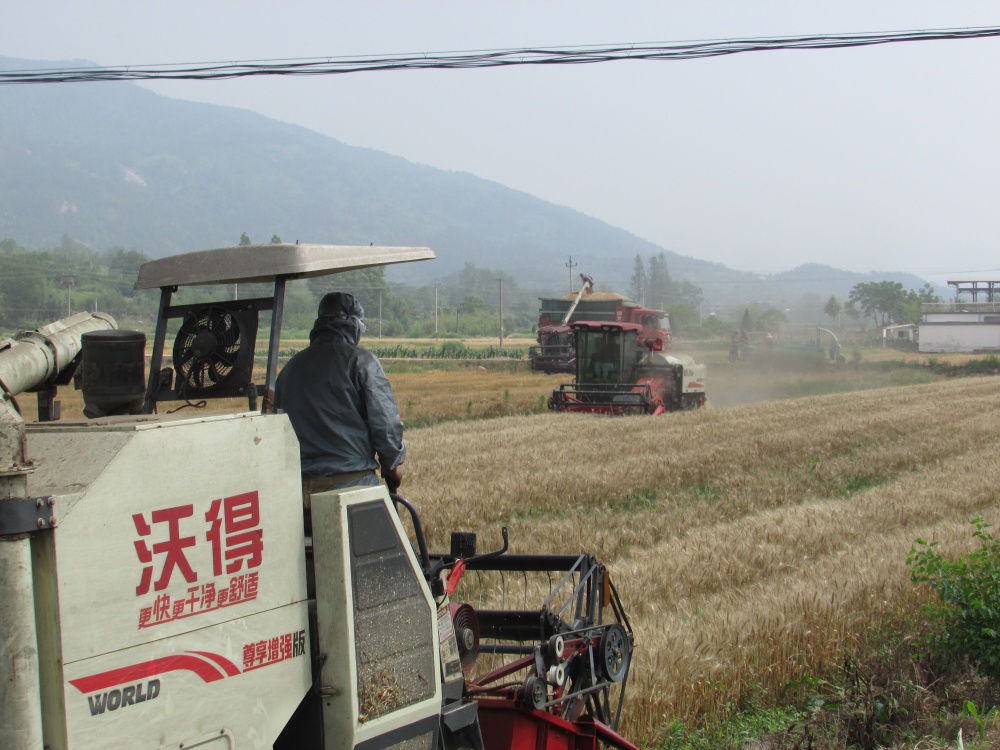 IMG_4706_副本.jpg