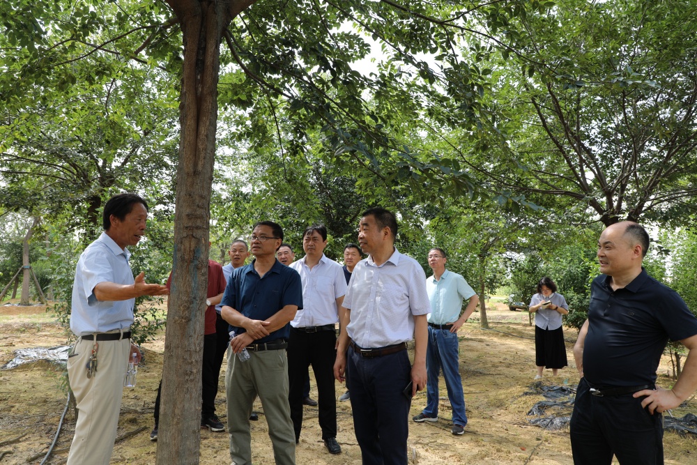 圖為調研現(xiàn)場(6).JPG