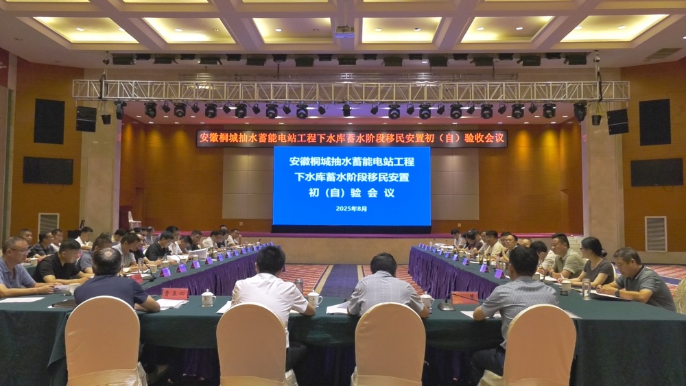 桐城抽水蓄能電站工程下水庫蓄水階段移民安置初（自）驗會.jpg