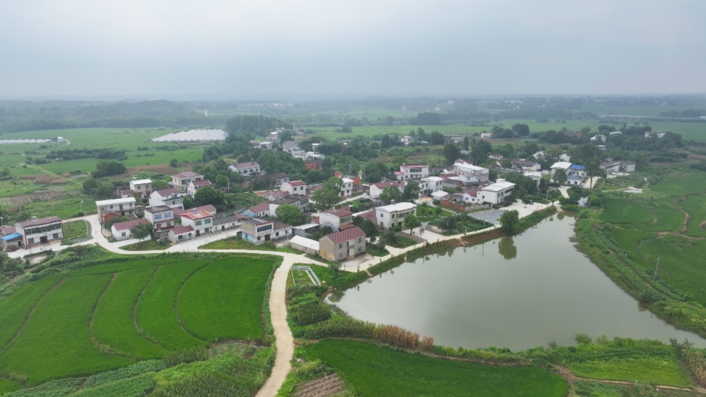 圖為和美鄉(xiāng)村建設后的范崗鎮(zhèn)樟楓村紅瓦屋組.jpg